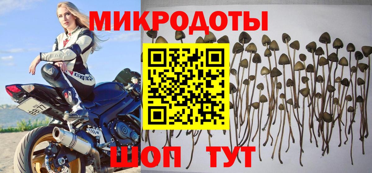 Псилоцибиновые грибы Psilocybe  Галлюциногенные грибы мицелий  Белая Калитва  Вход с VPN 