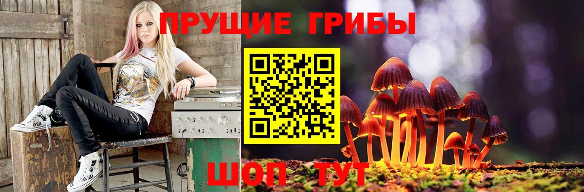 Псилоцибиновые грибы MAGIC MUSHROOMS Белая Калитва
